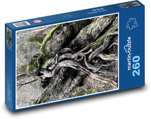Pień drzewa - korzenie drzew Puzzle 260 elementów - 41x28,7 cm