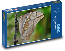 Motýl - hmyz Puzzle 260 dílků - 41 x 28,7 cm