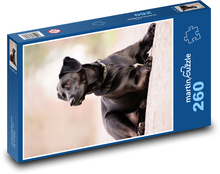 Labrador - Hund Puzzle 260 Teile - 41 x28,7 cm