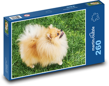 Pes - nemecký špic Puzzle 260 dielikov - 41 x 28,7 cm 