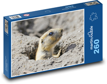Černoocasý prérijní pes Puzzle 260 dílků - 41 x 28,7 cm