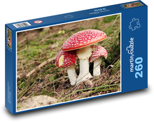 Houby - Muchomůrka Puzzle 260 dílků - 41 x 28,7 cm