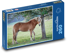 Hnědý kůň Puzzle 260 dílků - 41 x 28,7 cm