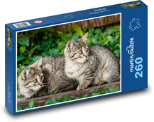 Mačky - mačiatka Puzzle 260 dielikov - 41 x 28,7 cm 