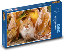 Cat - pet, autumn Puzzle 260 pieces - 41 x 28.7 cm 