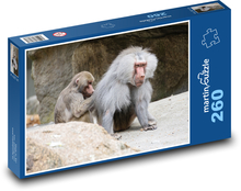 Monkey - baboon Puzzle 260 pieces - 41 x 28.7 cm