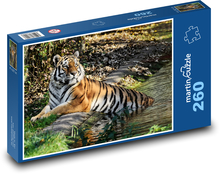 Tiger vo vode Puzzle 260 dielikov - 41 x 28,7 cm 