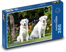 Labrador und Retriever Puzzle 260 Teile - 41 x28,7 cm