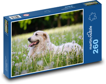 Lúka - pes Puzzle 260 dielikov - 41 x 28,7 cm