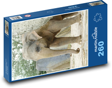 Slon indický Puzzle 260 - 41x28,7 cm