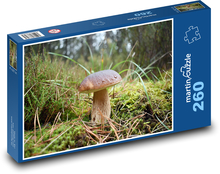 Pilz - Steinpilz Puzzle 260 Teile - 41 x28,7 cm
