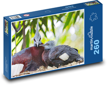 Korunovaný holub Puzzle 260 dielikov - 41 x 28,7 cm 
