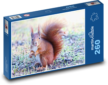 Zwierzę - wiewiórka Puzzle 260 elementów - 41x28,7 cm