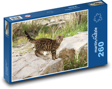 Wild cat Puzzle 260 pieces - 41 x 28.7 cm 