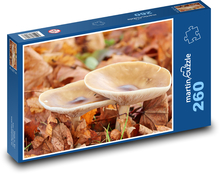 Huby - muchomůrka Puzzle 260 dielikov - 41 x 28,7 cm