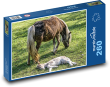 Kobyla - žriebä Puzzle 260 dielikov - 41 x 28,7 cm 