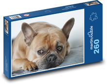 Francúzsky buldoček - pes Puzzle 260 dielikov - 41 x 28,7 cm 