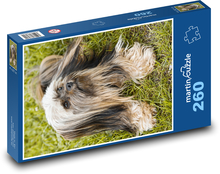 Dog - Pet Puzzle 260 pieces - 41 x 28.7 cm 