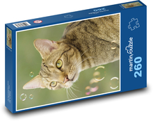 Cat - Mourek Puzzle 260 pieces - 41 x 28.7 cm 