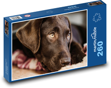 Pes - labrador Puzzle 260 - 41x28,7 cm