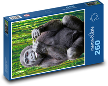 Goryl - małpa Puzzle 260 elementów - 41x28,7 cm
