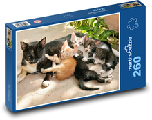 Katzen Puzzle 260 Teile - 41 x28,7 cm