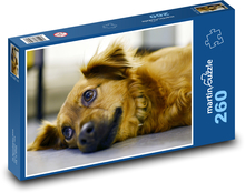 Roztomilý pes Puzzle 260 dílků - 41 x 28,7 cm