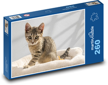 Europäisch Kurzhaar Puzzle 260 Teile - 41 x28,7 cm