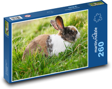 Králík Puzzle 260 dílků - 41 x 28,7 cm