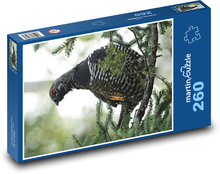 Vták - tetrovka Puzzle 260 dielikov - 41 x 28,7 cm 