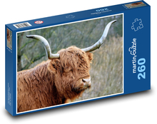 Hochlandrinder - Kuh Puzzle 260 Teile - 41 x28,7 cm
