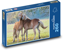 Konie Puzzle 260 elementów - 41x28,7 cm
