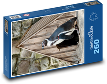 Penguin Puzzle 260 pieces - 41 x 28.7 cm 
