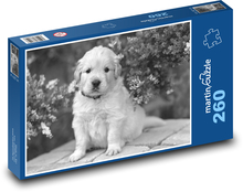 Pes - štěně Puzzle 260 dílků - 41 x 28,7 cm