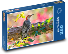 Ďateľ červenobrušný Puzzle 260 dielikov - 41 x 28,7 cm 