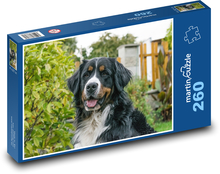 Berner Sennenhund Puzzle 260 Teile - 41 x28,7 cm
