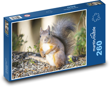 Veverka - hlodavec Puzzle 260 dílků - 41 x 28,7 cm