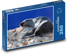 Morské plody - lachtan Puzzle 260 dielikov - 41 x 28,7 cm 