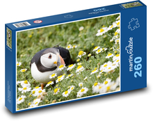 Vogel - Papageientaucher Puzzle 260 Teile - 41 x28,7 cm