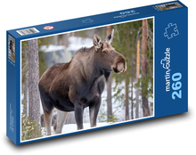 Moose - wildlife Puzzle 260 pieces - 41 x 28.7 cm 