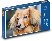 Pes - jezevčík Puzzle 260 dílků - 41 x 28,7 cm