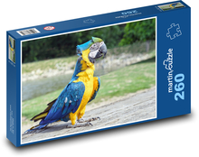 Papuga - ptak Puzzle 260 elementów - 41x28,7 cm