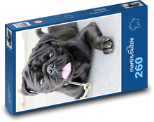 Černý mops - pes Puzzle 260 dílků - 41 x 28,7 cm