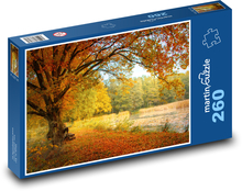 Herbst - Wald, Bäume Puzzle 260 Teile - 41 x28,7 cm
