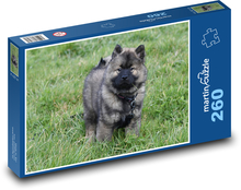 Hund - Eurasier Puzzle 260 Teile - 41 x28,7 cm