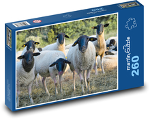 Schafherde Puzzle 260 Teile - 41 x28,7 cm