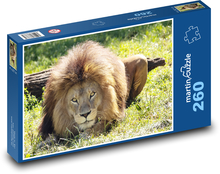 Löwe - Biest Puzzle 260 Teile - 41 x28,7 cm