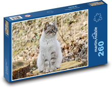 Cat - animal Puzzle 260 pieces - 41 x 28.7 cm 