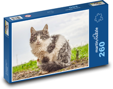 Túlavá mačka Puzzle 260 dielikov - 41 x 28,7 cm 