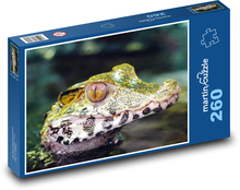 Cayman - Krokodil Puzzle 260 Teile - 41 x28,7 cm